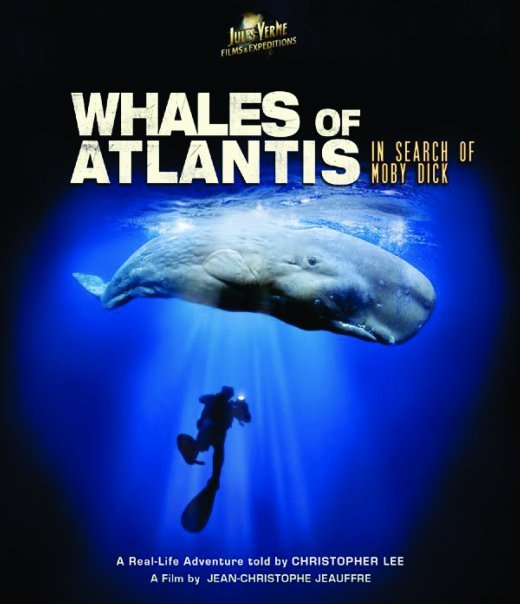 Whales of Atlantis - In Search of Moby Dick | Jules Verne Adventures